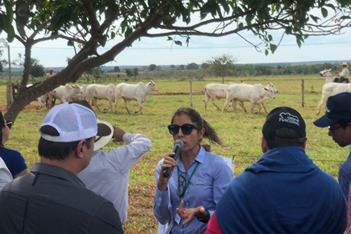 melhora-mais-palestras-e-dia-de-campo